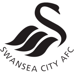 Swansea-City team photo for Swansea-City