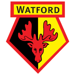 Watford-FC team photo for Watford-FC